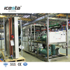 آلة صنع الثلج ذات الألواح الفولاذية المقاومة للصدأ ICESTA 10 طن عالية الجودة بنظام PLC