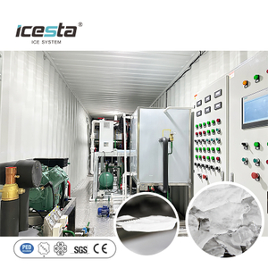 آلة تصنيع ألواح الثلج الصناعية الأوتوماتيكية الثقيلة ICESTA 30 طن 304SS