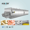 ICESTA QUICK FREYZER Automic Cryogenic Industrial IQF TUNNEL FREYZER FOR SEAFOOD 