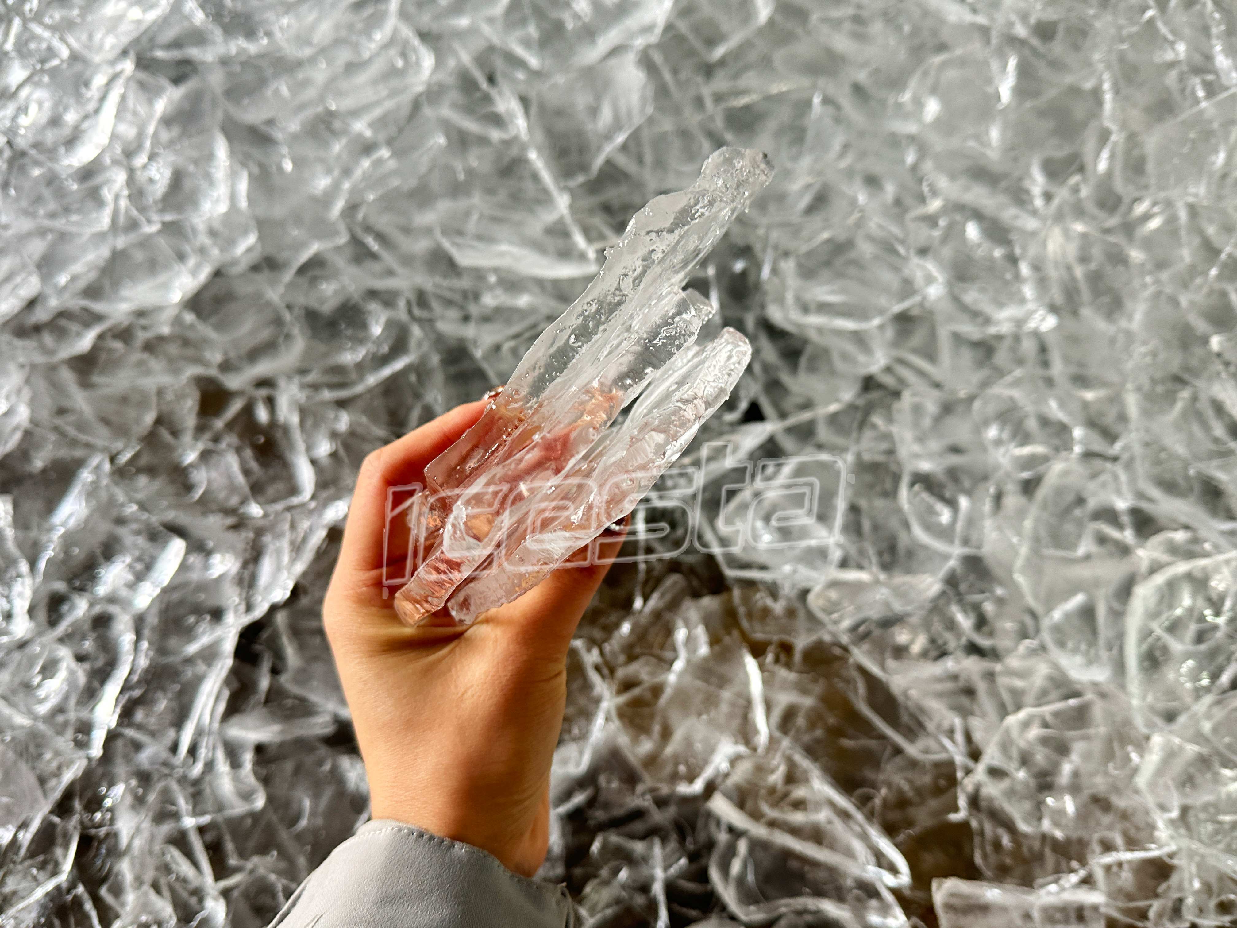 微信图片_20231220154906