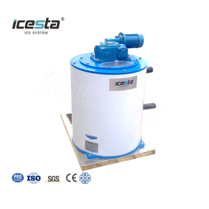 ICESTA 2 طن (2000 كجم) مبخر شرائح الثلج لمصايد الأسماك
