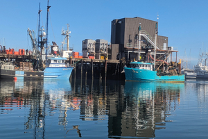 Oceaning Fishing-1.jpg