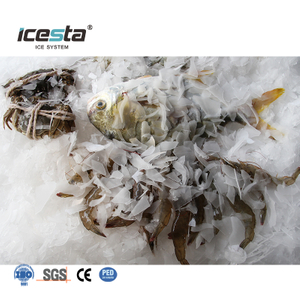 ICESTA 1-5 طن آلة صنع شرائح الثلج بالمياه المالحة البحرية للقوارب