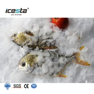 آلة تصنيع شرائح الثلج من الفولاذ المقاوم للصدأ بدرجة الغذاء ICESTA بقدرة 3-10 طن يوميًا